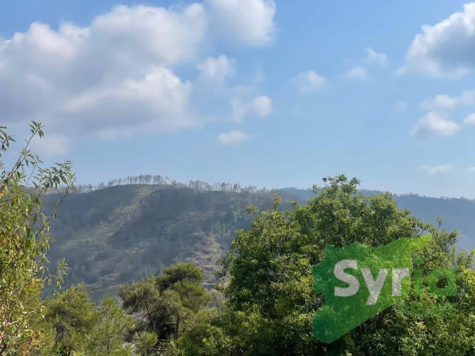 Syria Prime - عقارات سوريا برايم -0 Sale Land Latakia 10000 USD