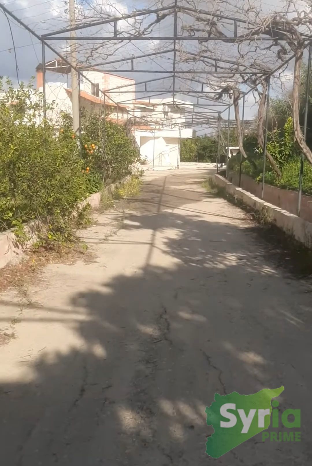 Syria Prime - عقارات سوريا برايم -2 Sale Farm Latakia 700000 USD