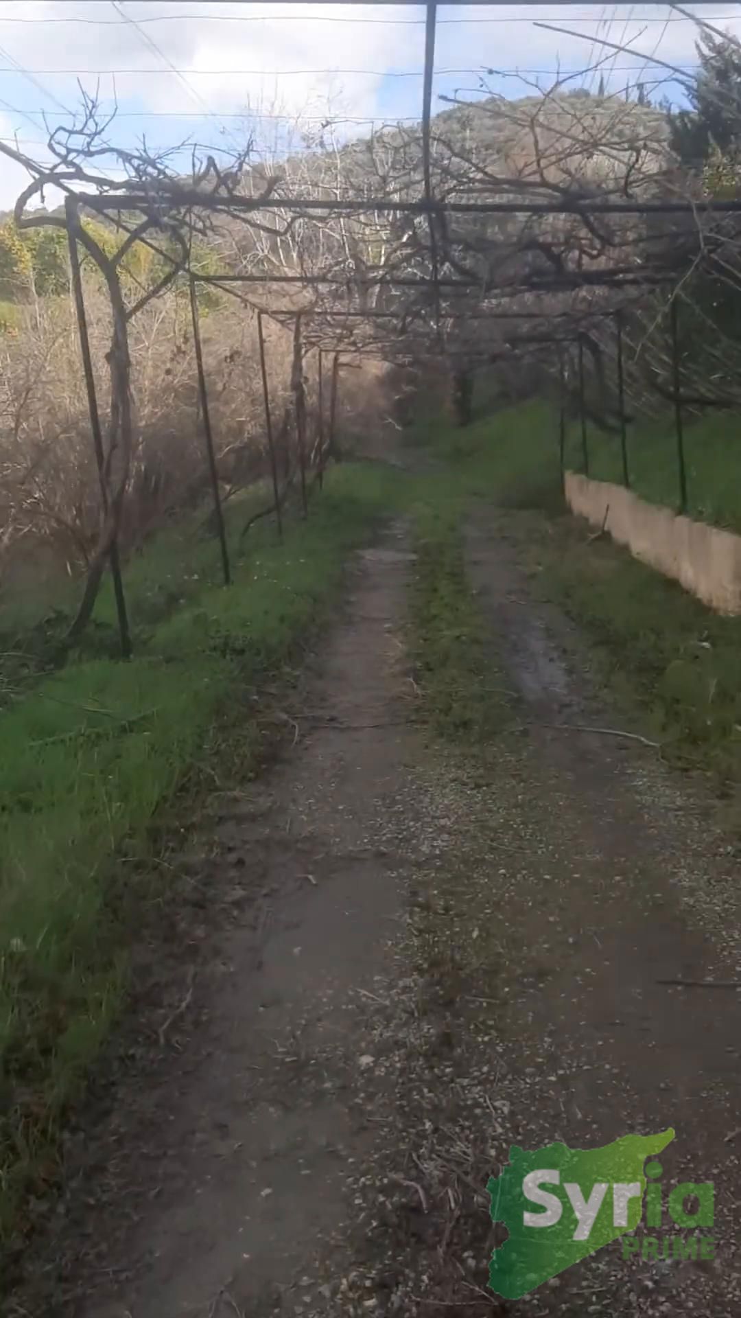 Syria Prime - عقارات سوريا برايم -4 Sale Farm Latakia 700000 USD