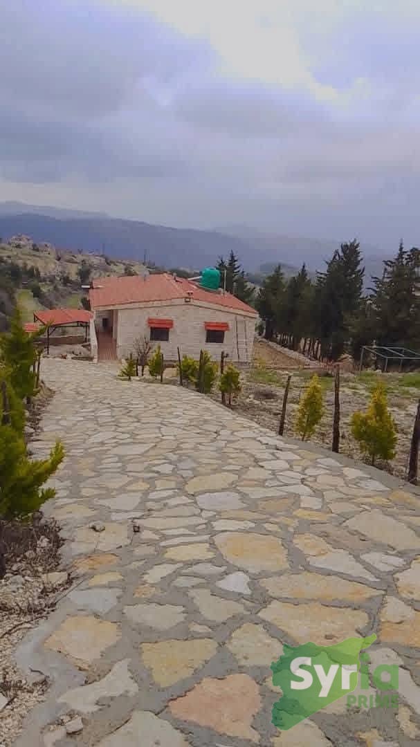 Syria Prime - عقارات سوريا برايم -2 Sale Farm Latakia 65000 USD