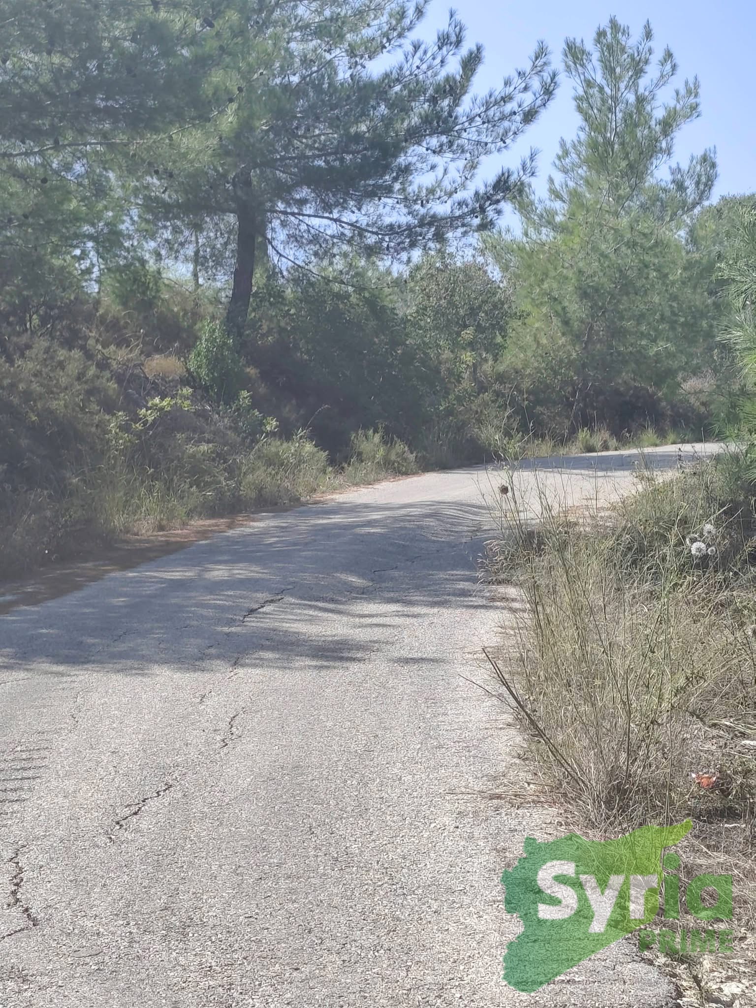Syria Prime - عقارات سوريا برايم -2 Sale Land Latakia 40000 USD