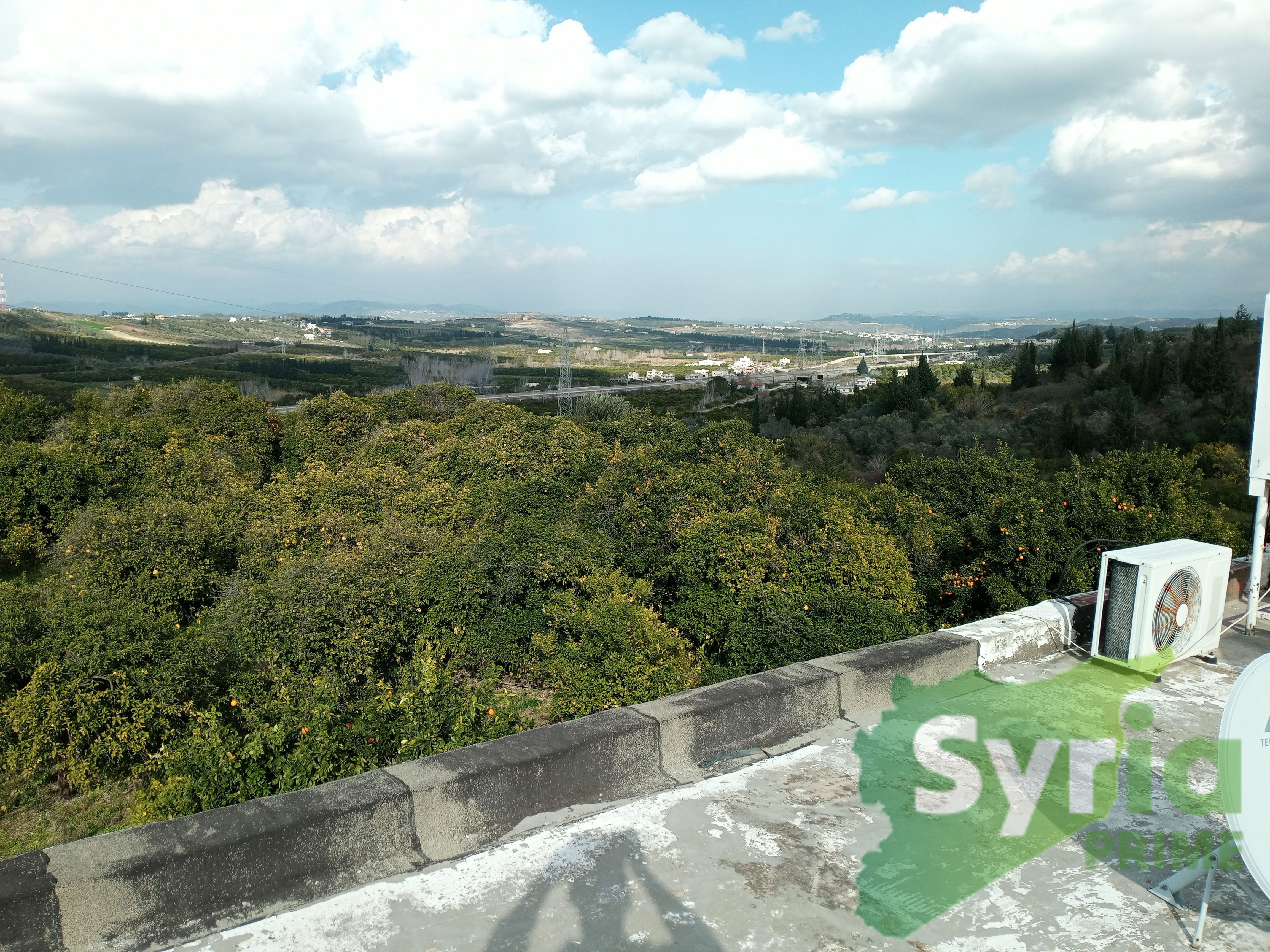 Syria Prime - عقارات سوريا برايم -7 Sale Farm Latakia 700000 USD