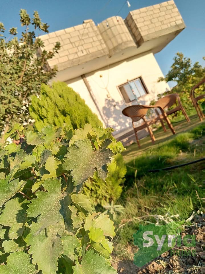 Syria Prime - عقارات سوريا برايم -2 Sale Farm AlHasakah 28000 USD