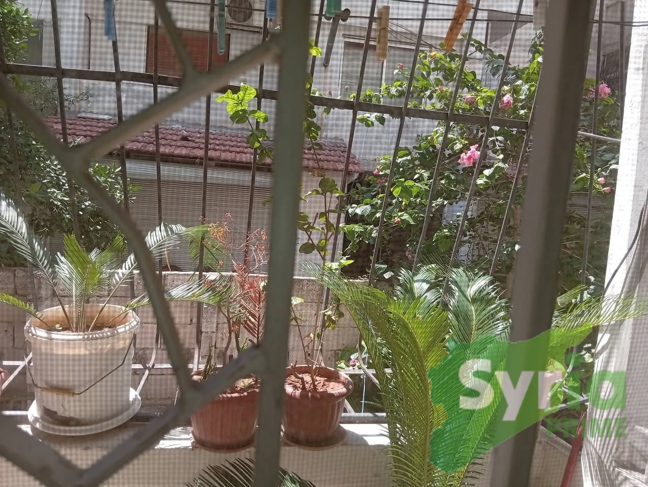 Syria Prime - عقارات سوريا برايم -1 Sale Flat Latakia 30000 USD