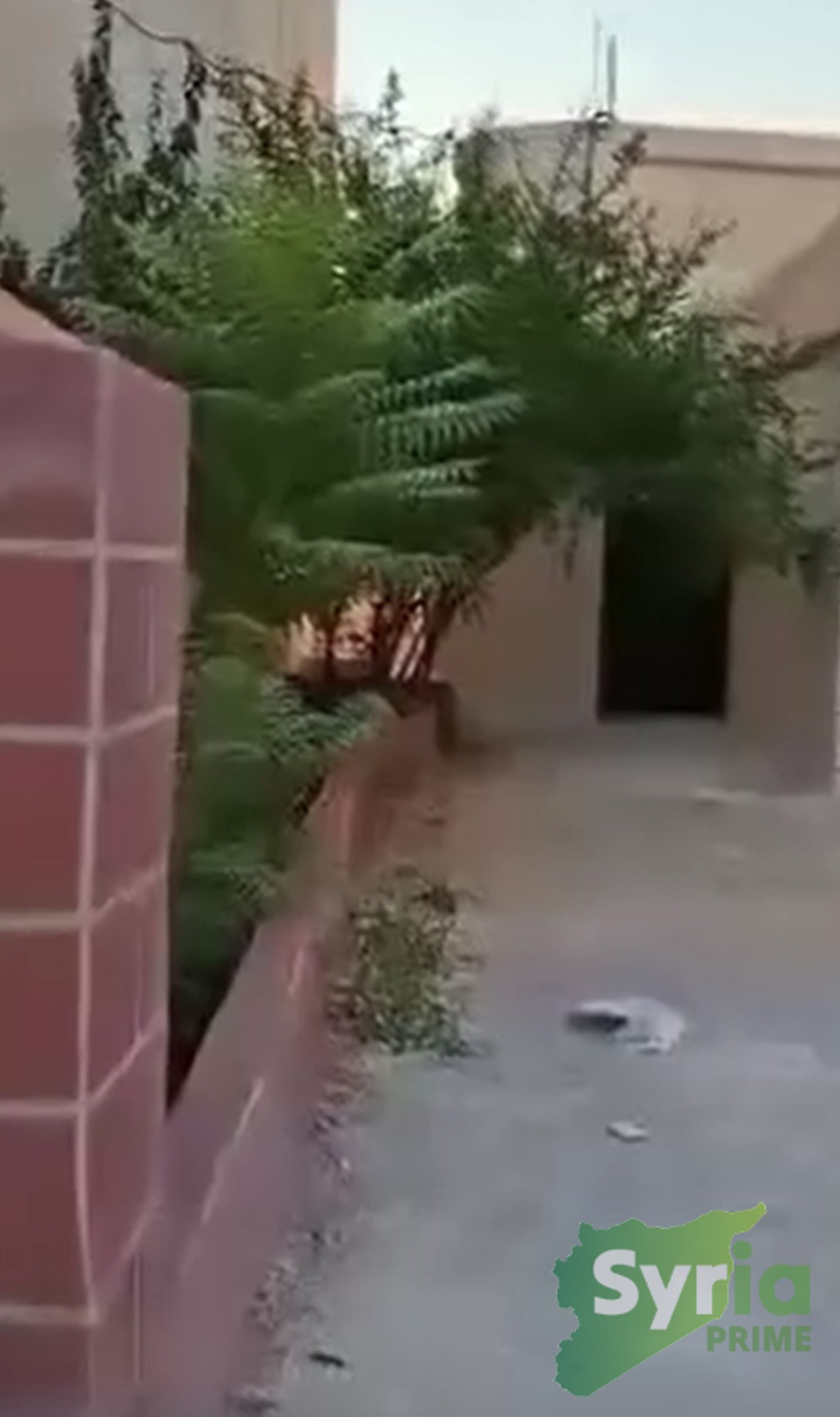 منزل في حماة