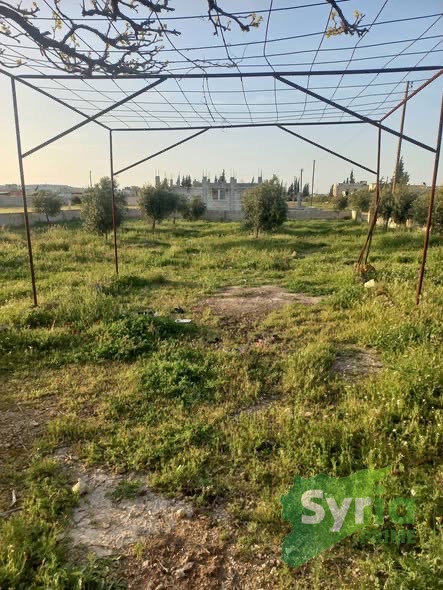 Syria Prime - عقارات سوريا برايم -0 Sale Farm Hama 215000000 SYP