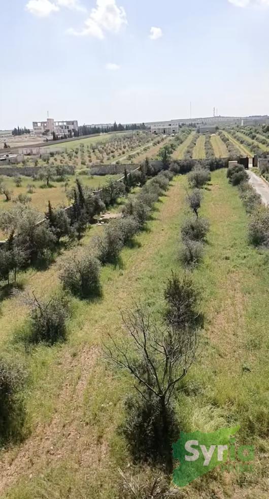Syria Prime - عقارات سوريا برايم -2 Sale Farm Aleppo 175000 USD
