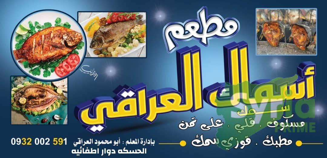 اسماك العراقي