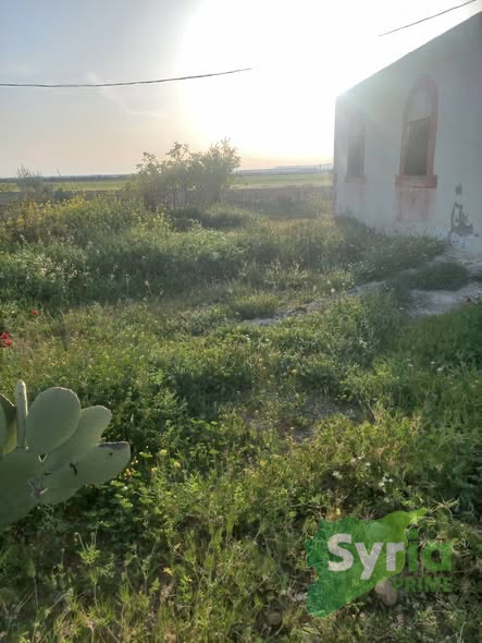 Syria Prime - عقارات سوريا برايم -1 Sale Farm Hama 215000000 SYP