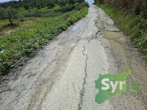 Syria Prime - عقارات سوريا برايم -2 Sale Land Latakia 9000 USD