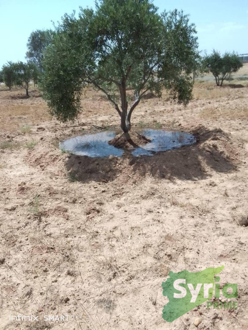Syria Prime - عقارات سوريا برايم -3 Sale Farm ArRaqqah 400000 USD
