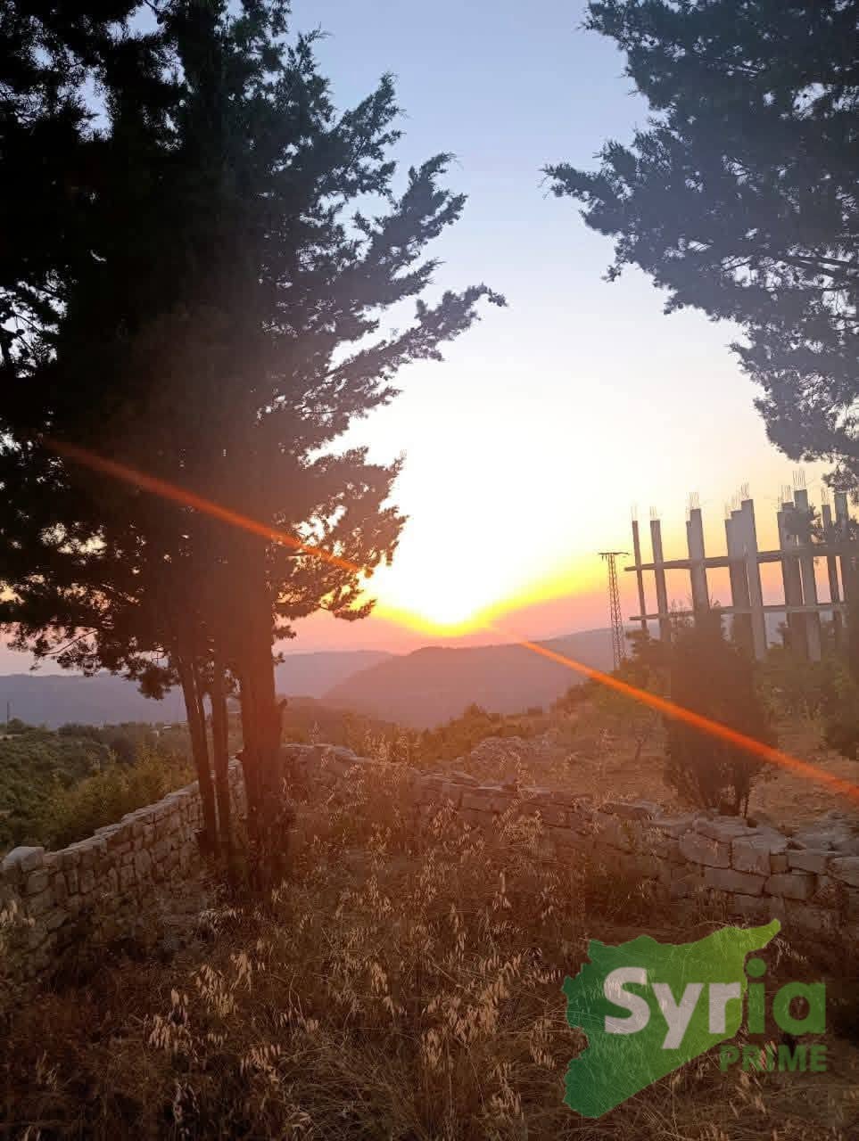 Syria Prime - عقارات سوريا برايم -4 Sale Farm Latakia 65000 USD