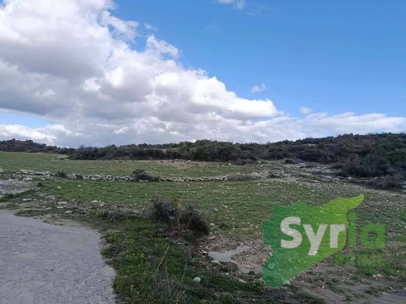 Syria Prime - عقارات سوريا برايم -0 Sale Land Latakia 3500 USD