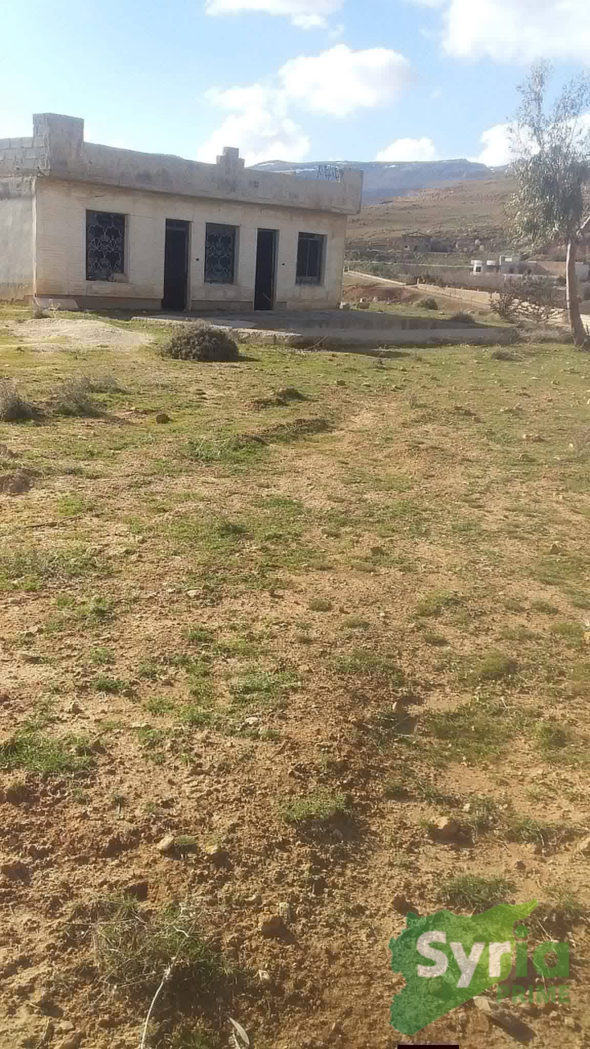 ارض في اللاذقية