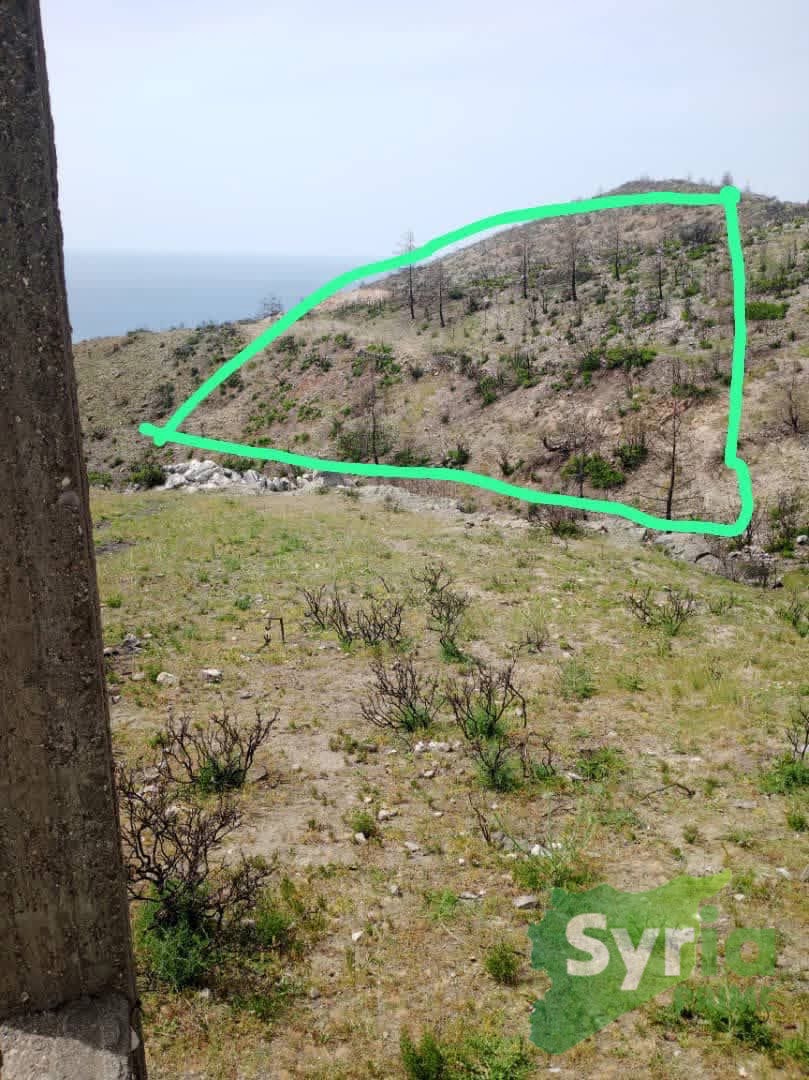 Syria Prime - عقارات سوريا برايم -0 Sale Land Latakia 70000 USD