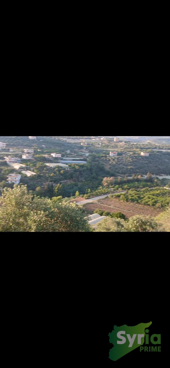 Syria Prime - عقارات سوريا برايم -1 Sale Land Tartus 42000 USD