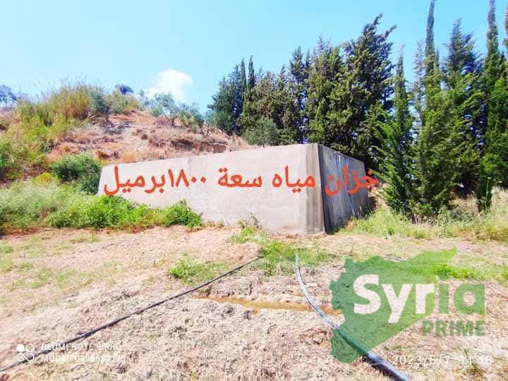 Syria Prime - عقارات سوريا برايم -1 Sale Farm Latakia 140000 USD