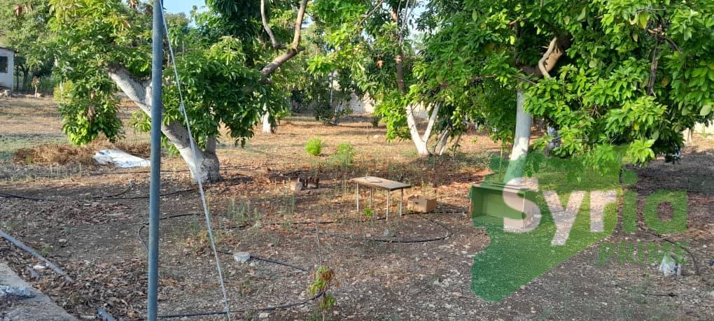 Syria Prime - عقارات سوريا برايم -1 Sale Farm Tartus 550000 USD