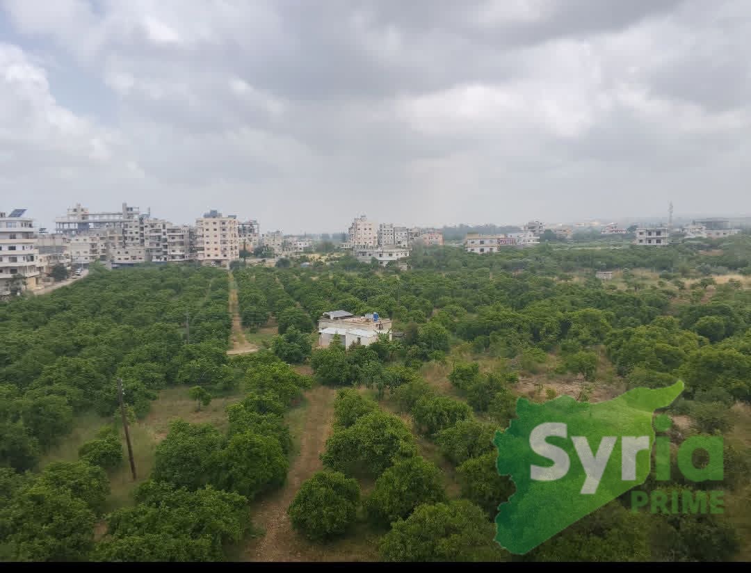 Syria Prime - عقارات سوريا برايم - gallery_11557 Sale Flat Latakia 13000 USD