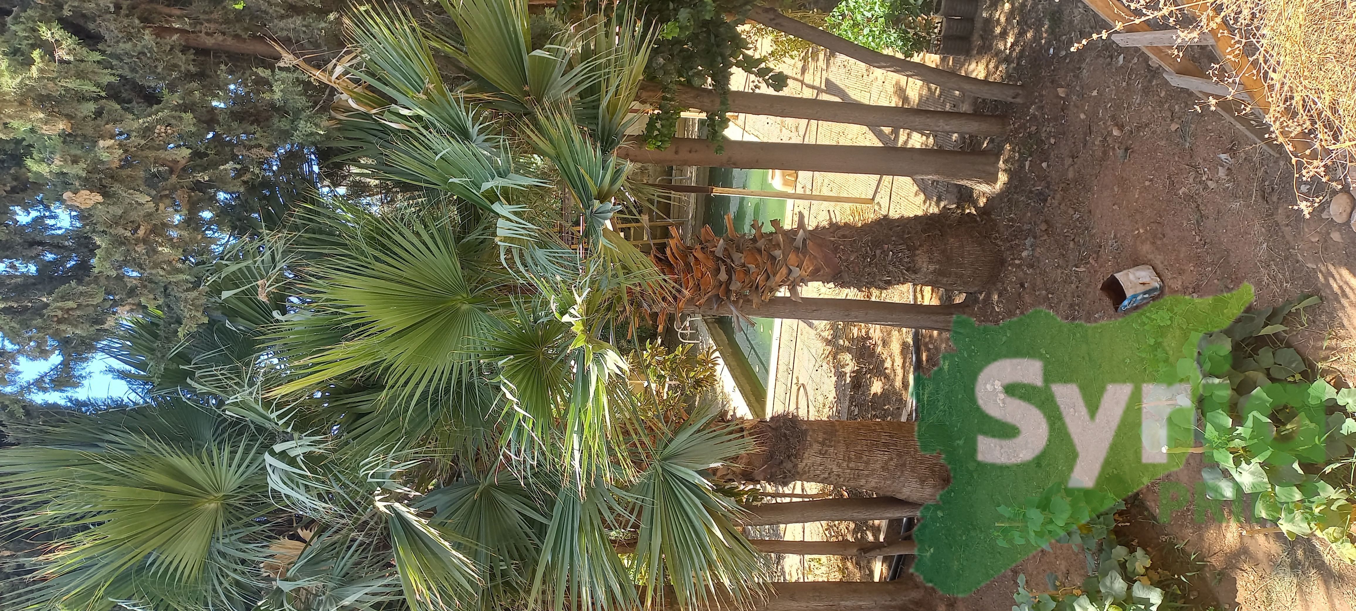 Syria Prime - عقارات سوريا برايم -1 Sale Land RifDimashq 275000 USD
