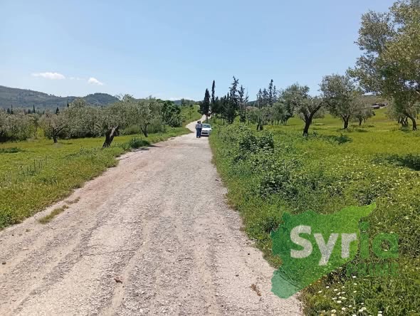 Syria Prime - عقارات سوريا برايم -2 Sale Land Latakia 125000 USD