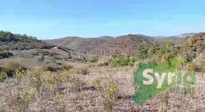 Syria Prime - عقارات سوريا برايم - gallery_4971 Sale Land Latakia 225000000 SYR