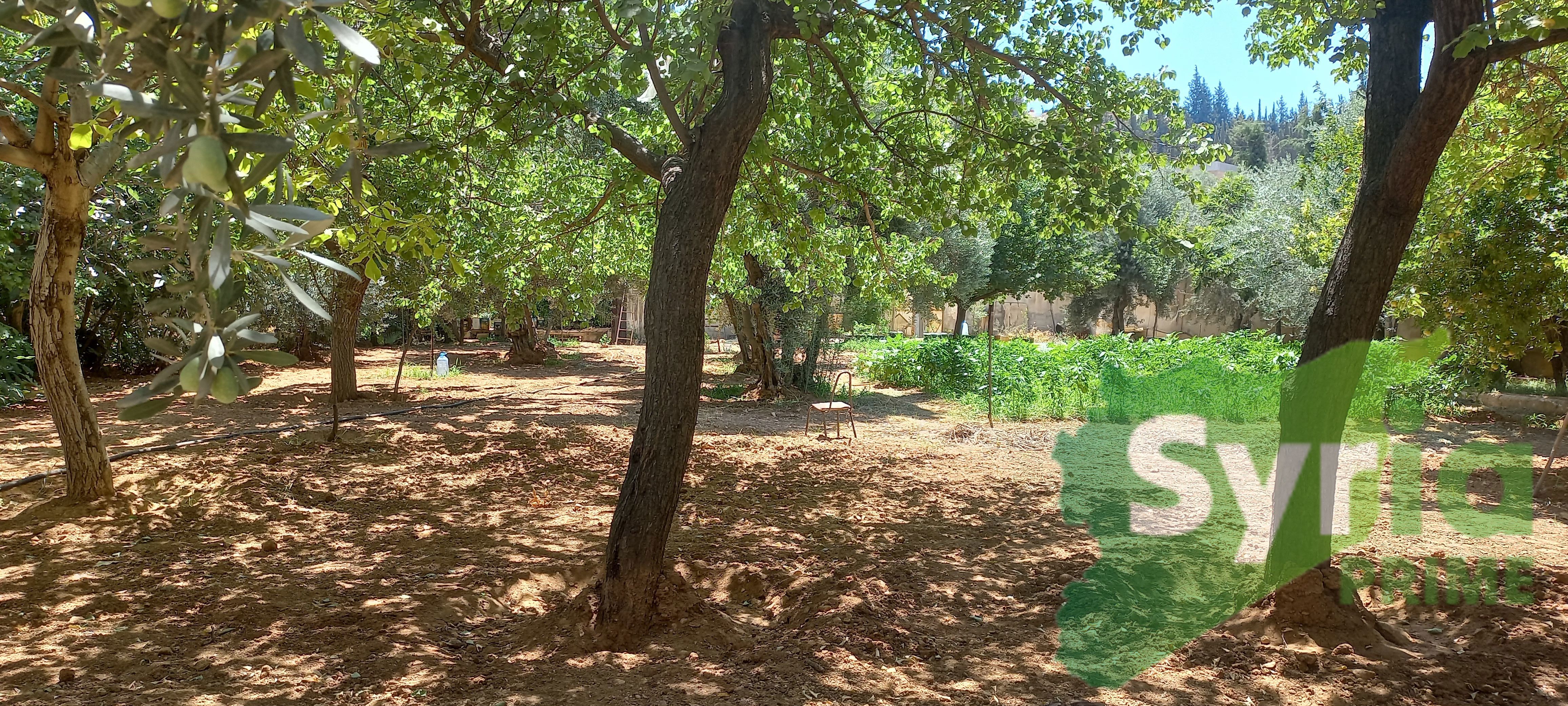 Syria Prime - عقارات سوريا برايم -5 Sale Land RifDimashq 275000 USD