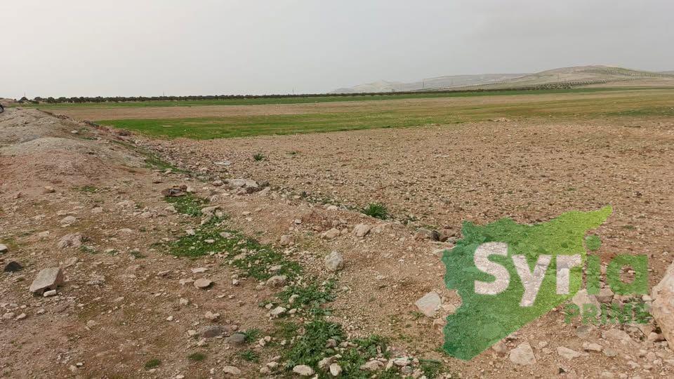 Syria Prime - عقارات سوريا برايم - gallery_6696 Sale Land Hama 260000 USD