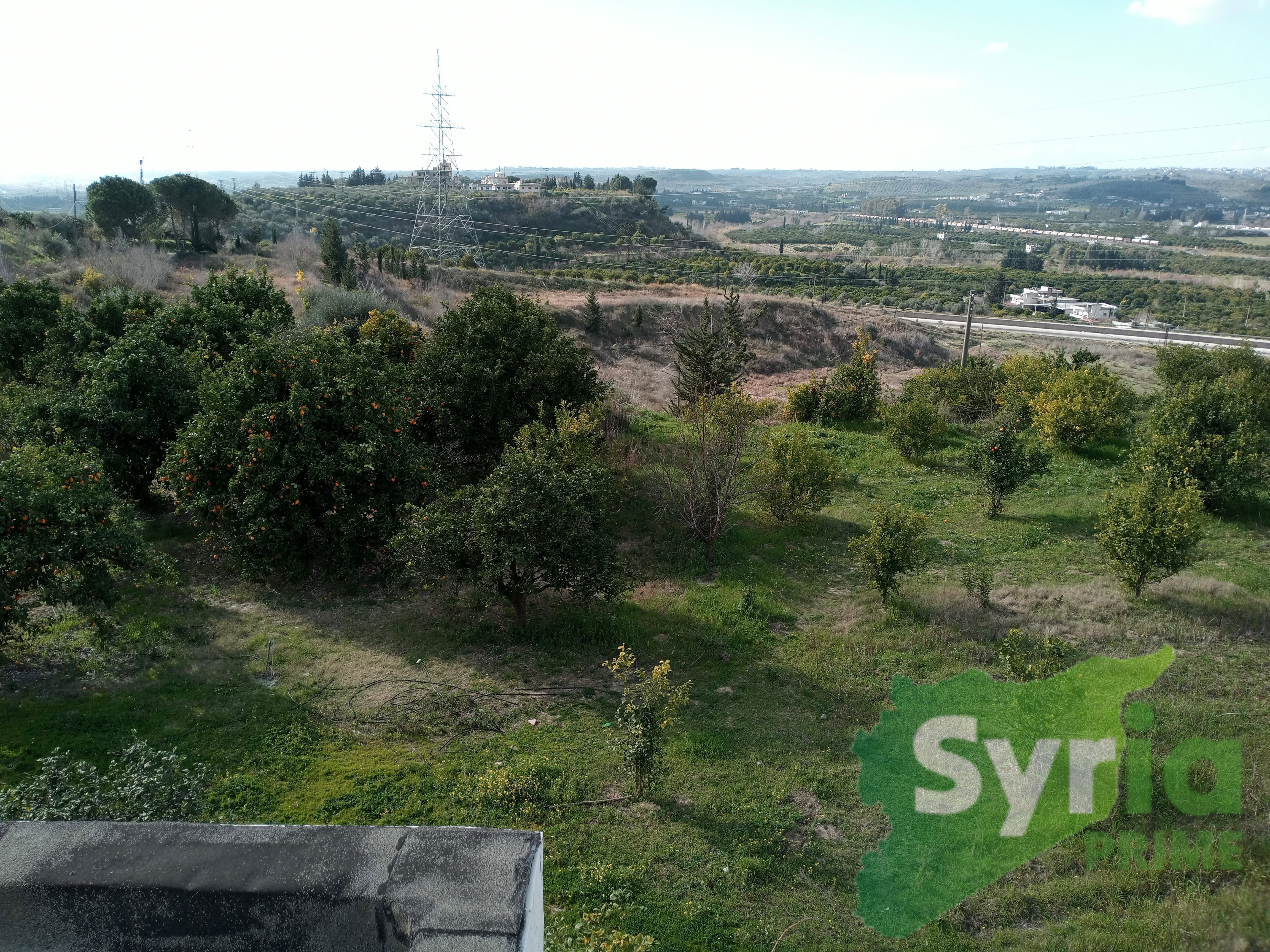 Syria Prime - عقارات سوريا برايم -9 Sale Farm Latakia 700000 USD