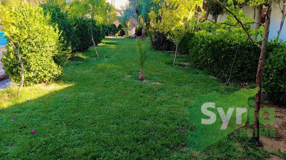 Syria Prime - عقارات سوريا برايم -11 Rent Farm RifDimashq 150 USD