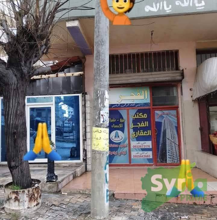 علي فجرالعقارات