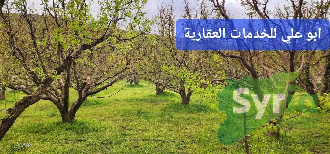 Syria Prime - عقارات سوريا برايم - gallery_8958 Sale Land RifDimashq 35000 USD