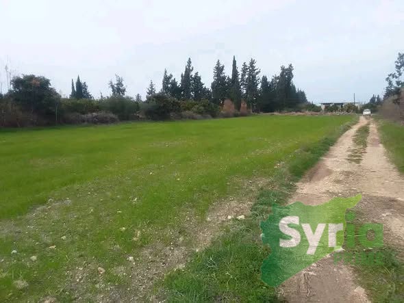 Syria Prime - عقارات سوريا برايم -1 Sale Land Latakia 90000 USD
