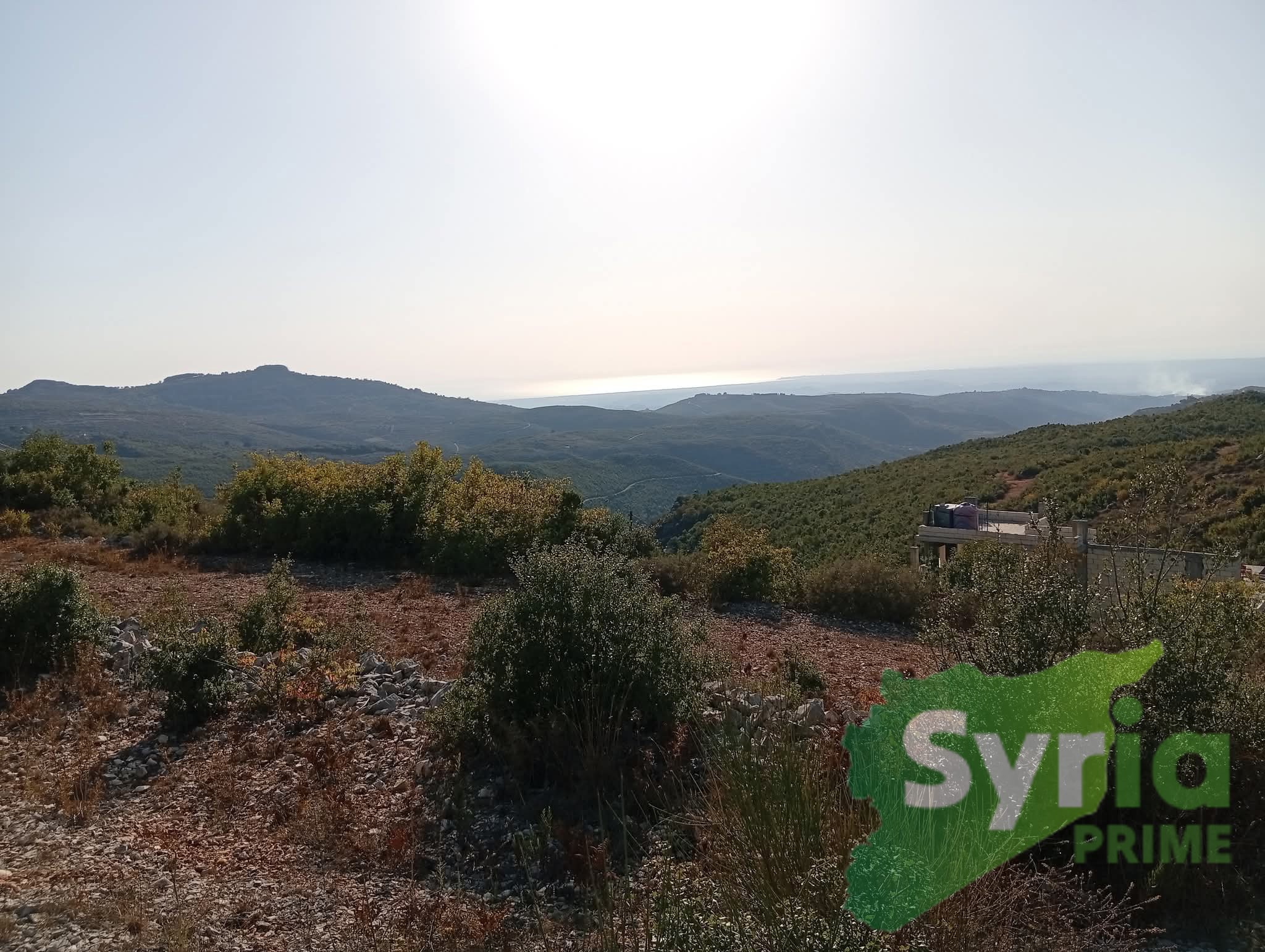 Syria Prime - عقارات سوريا برايم -1 Sale Land Latakia 17000 USD