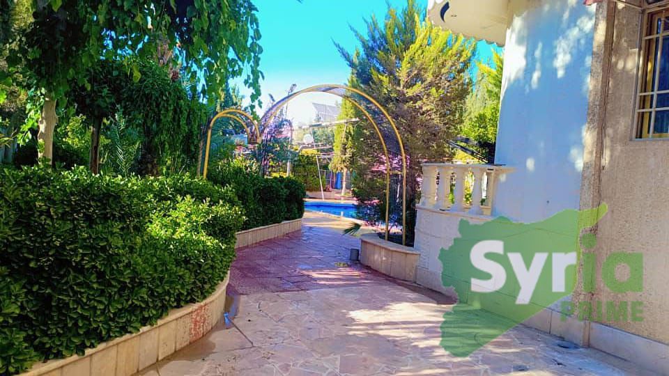 Syria Prime - عقارات سوريا برايم -18 Rent Farm RifDimashq 150 USD