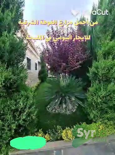 Syria Prime - عقارات سوريا برايم -5 Rent Farm RifDimashq 1500000 SYP