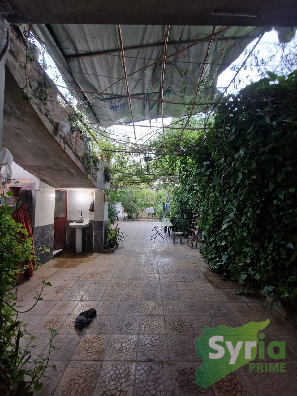 Syria Prime - عقارات سوريا برايم -3 Sale Farm RifDimashq 40000 USD