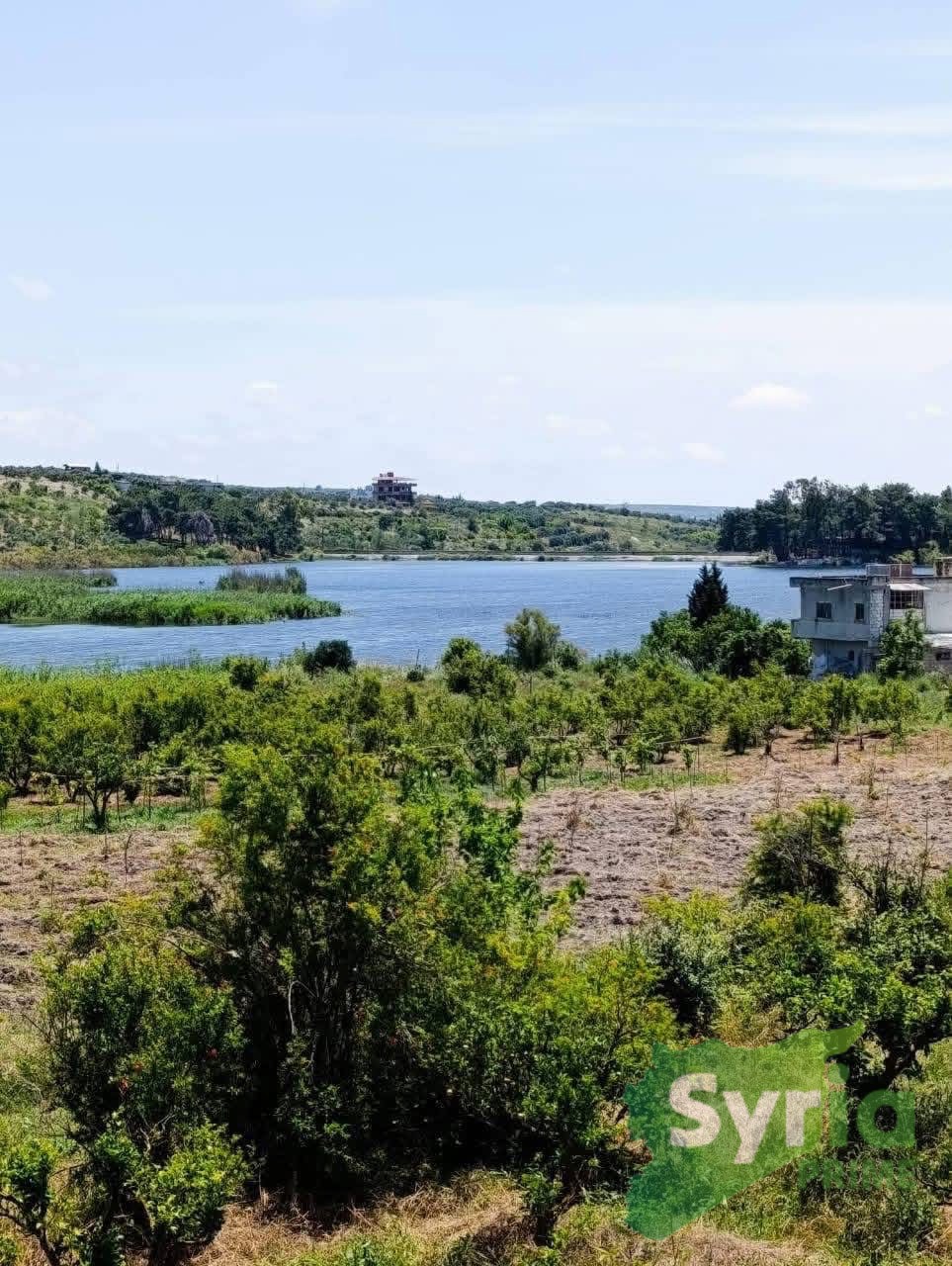 Syria Prime - عقارات سوريا برايم -1 Sale Farm Latakia 70000 USD