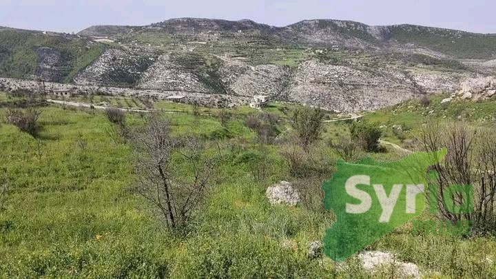 Syria Prime - عقارات سوريا برايم - gallery_11439 Sale Land Latakia 15000 USD