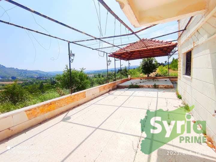 Syria Prime - عقارات سوريا برايم -2 Sale Farm Latakia 140000 USD