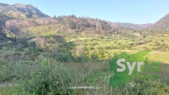 Syria Prime - عقارات سوريا برايم -1 Sale Land Latakia 150000000 SYP