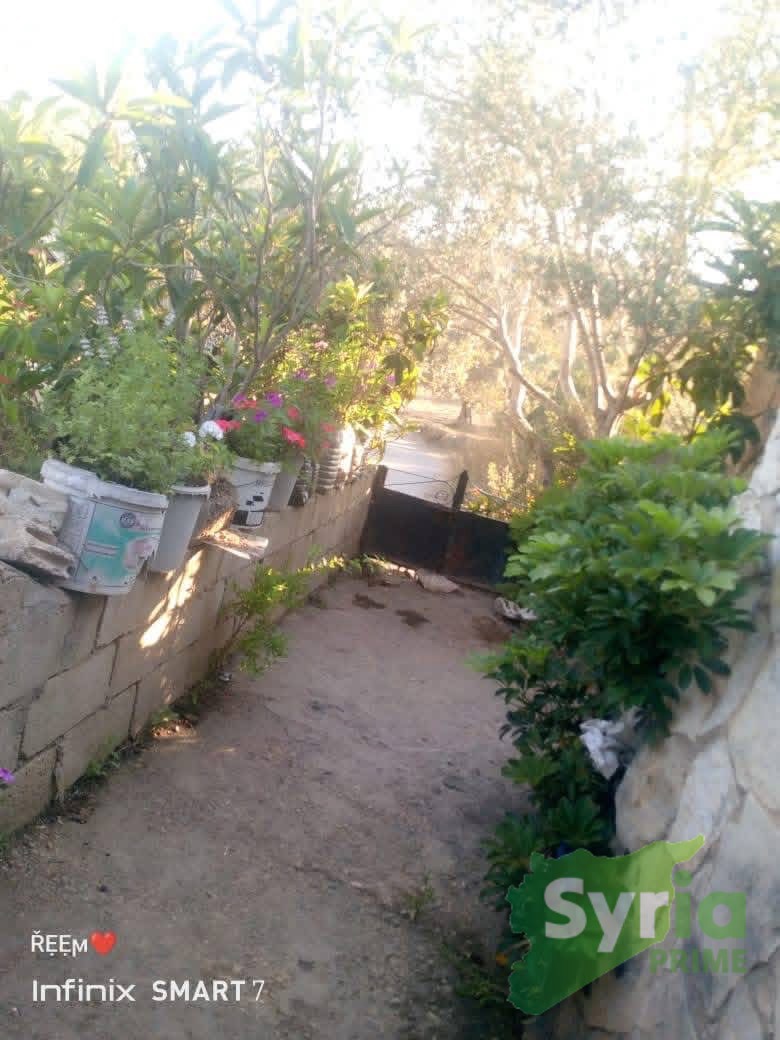 منزل في طرطوس