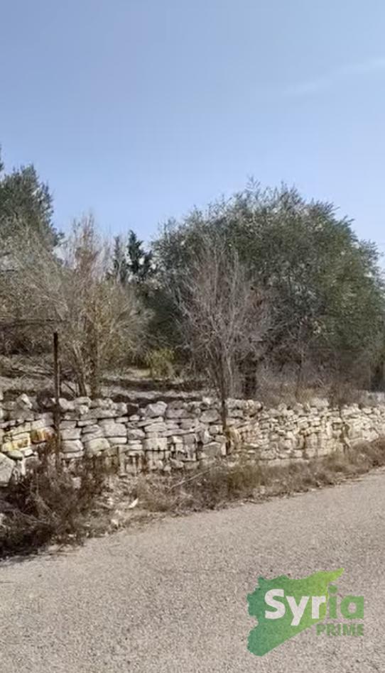 Syria Prime - عقارات سوريا برايم -1 Sale Farm Latakia 110000 USD