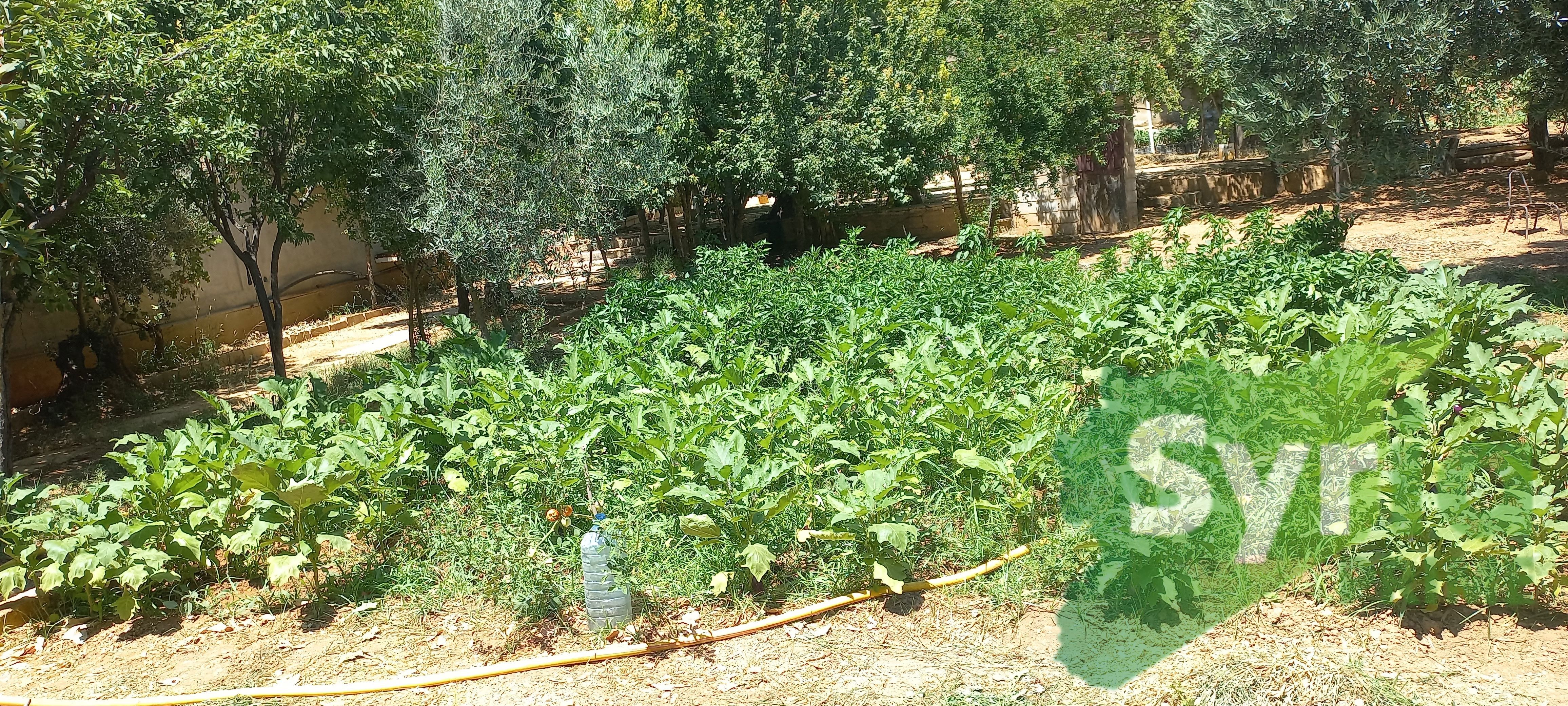 Syria Prime - عقارات سوريا برايم -8 Sale Land RifDimashq 275000 USD