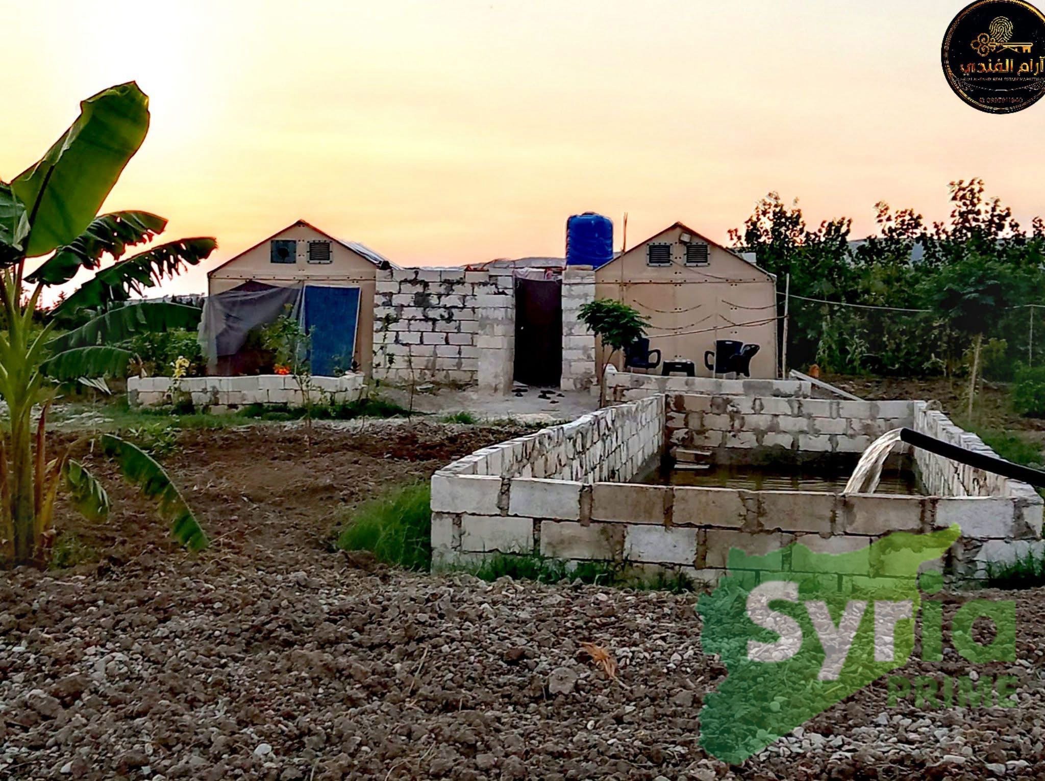 Syria Prime - عقارات سوريا برايم -0 Sale Farm Latakia 10000 USD