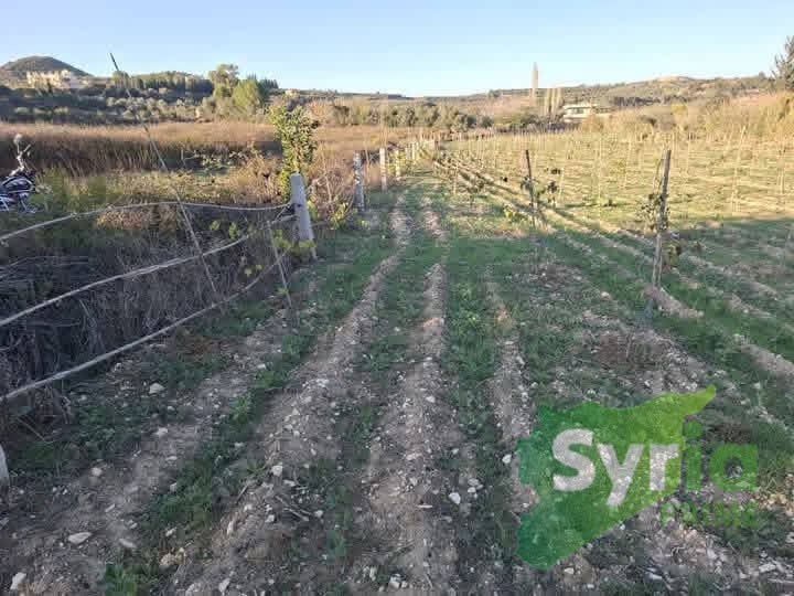 Syria Prime - عقارات سوريا برايم -1 Sale Land Latakia 140000000 SYR