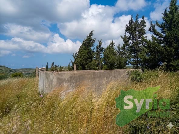 Syria Prime - عقارات سوريا برايم -2 Sale Land Latakia 80000 USD