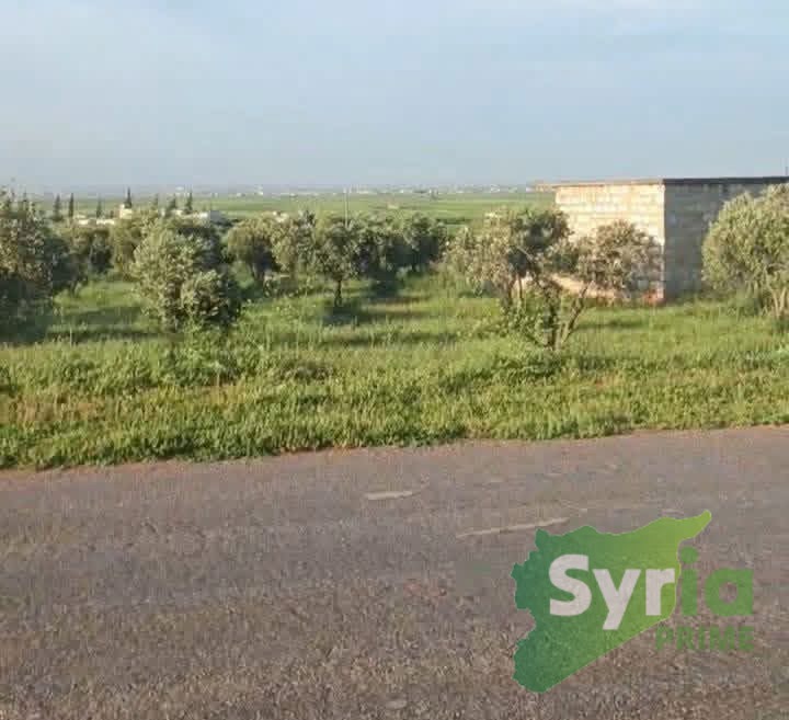 Syria Prime - عقارات سوريا برايم -0 Sale Land Aleppo 66000 USD
