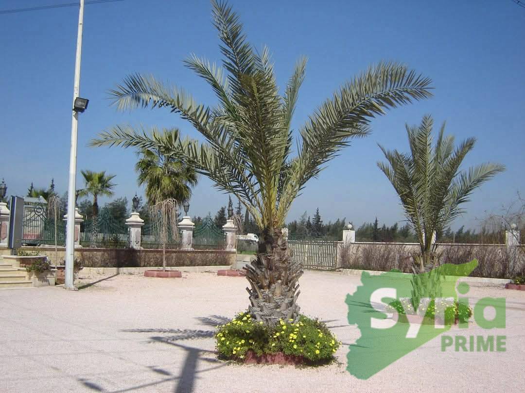 Syria Prime - عقارات سوريا برايم -0 Sale Other Aleppo 165 USD