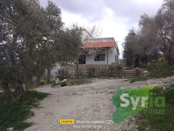 Syria Prime - عقارات سوريا برايم -0 Sale House Latakia 45000 USD